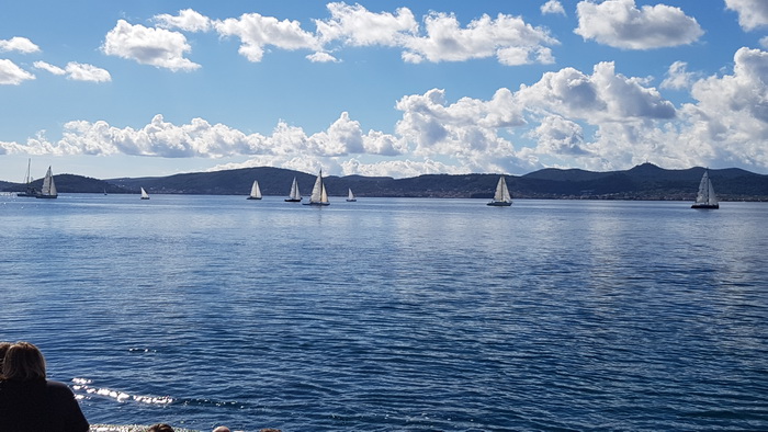 Zadarska Koka 2016. 22. listopada 2016. Foto: Mladen Malik Zadarska Koka 2016. 22. listopada 2016. Foto: Mladen Malik