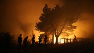 Požar u Tučepima Požar u Tučepima