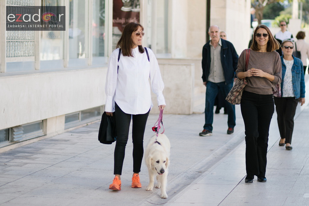 Subotnja špica 28. listopada 2017. Subotnja špica 28. listopada 2017.
