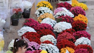 Započela prodaja cvijeća na zadarskoj tržnici, foto-I. Perinčić Započela prodaja cvijeća na zadarskoj tržnici, foto-I. Perinčić
