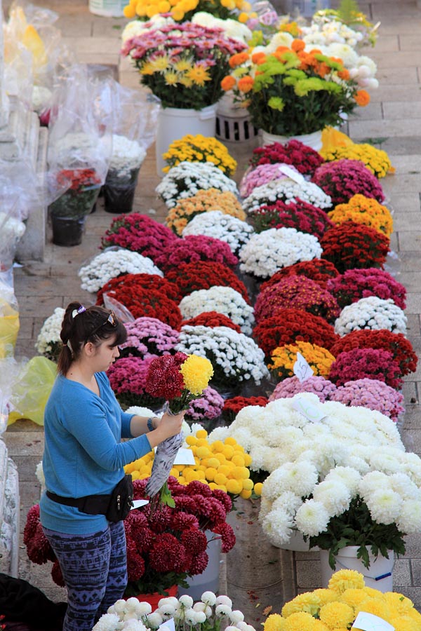 Započela prodaja cvijeća na zadarskoj tržnici, foto-I. Perinčić Započela prodaja cvijeća na zadarskoj tržnici, foto-I. Perinčić