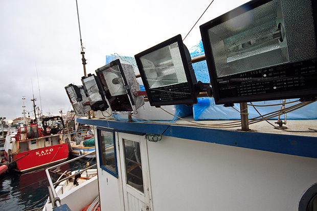 Ribarice u zadarskoj luci, Foto: Leo Banić