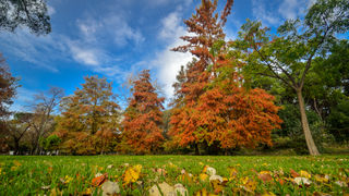 Jesenski đir po gradu, 15. studenog 2014. , foto: Marin Pitton Jesenski đir po gradu, 15. studenog 2014. , foto: Marin Pitton