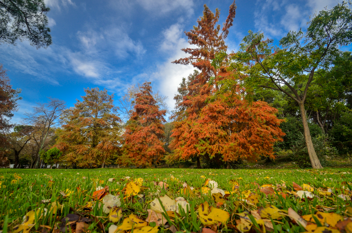 Jesenski đir po gradu, 15. studenog 2014. , foto: Marin Pitton Jesenski đir po gradu, 15. studenog 2014. , foto: Marin Pitton