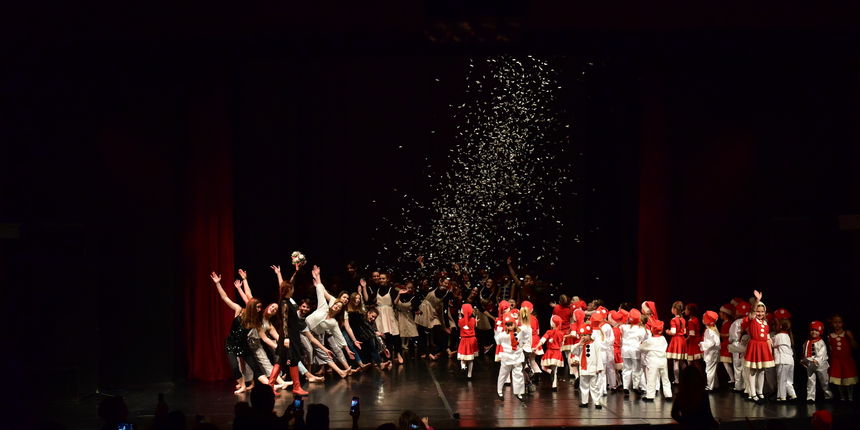 “Plesna čestitka”, Zadarski plesni ansambl