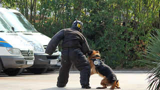 Dan policije (foto:Saša Čuka) Dan policije (foto:Saša Čuka)