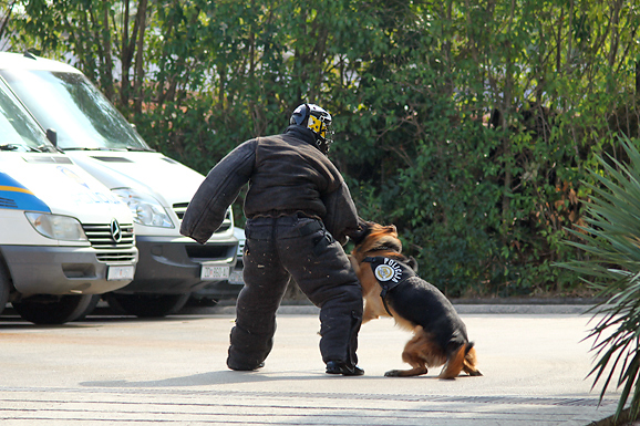 Dan policije (foto:Saša Čuka) Dan policije (foto:Saša Čuka)