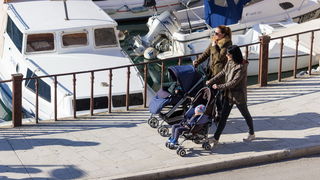 Đir po gradu 29. studenog 2016.