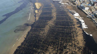 Image 1196811 (auto) Image 1196811 (auto)