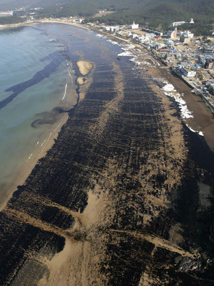 Image 1196811 (auto) Image 1196811 (auto)