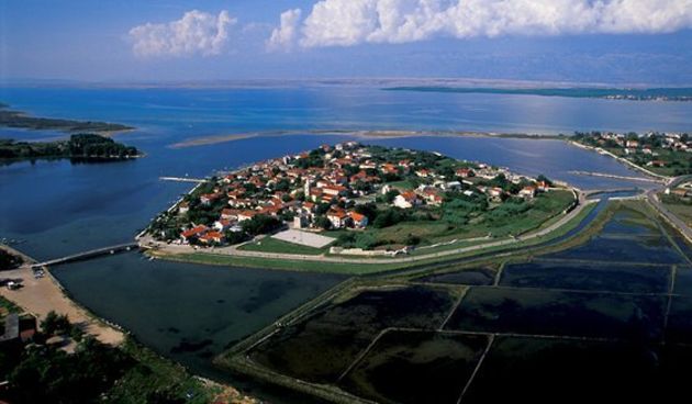 Image 1204205 (auto)