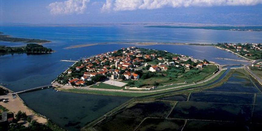 Image 1204205 (auto)