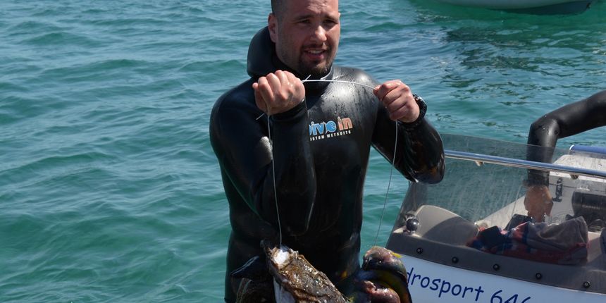 Dive in fest Dive in fest