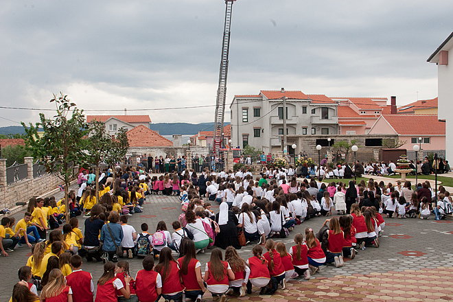 Zlatna harfa Zlatna harfa