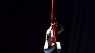 Circo Art u HNK Zadar izveo predstavu “Povratak u prirodu”