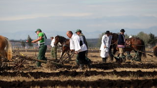 Jankolovica, Biograd, 150912. 
U Jankolovici kraj Biograda odrzan je drugi dan 59. Svjetskog prvenstva u oranju. Ovo natjecanje u oranju odrzava se od 1953. godine, a Hrvatska se ukljucila 2005. godine.
Na fotografiji: detalj s manifestacije. 
Foto: Jure