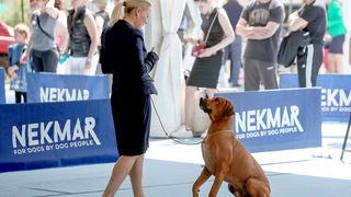 Međunarodna izložba pasa CACIB 2023