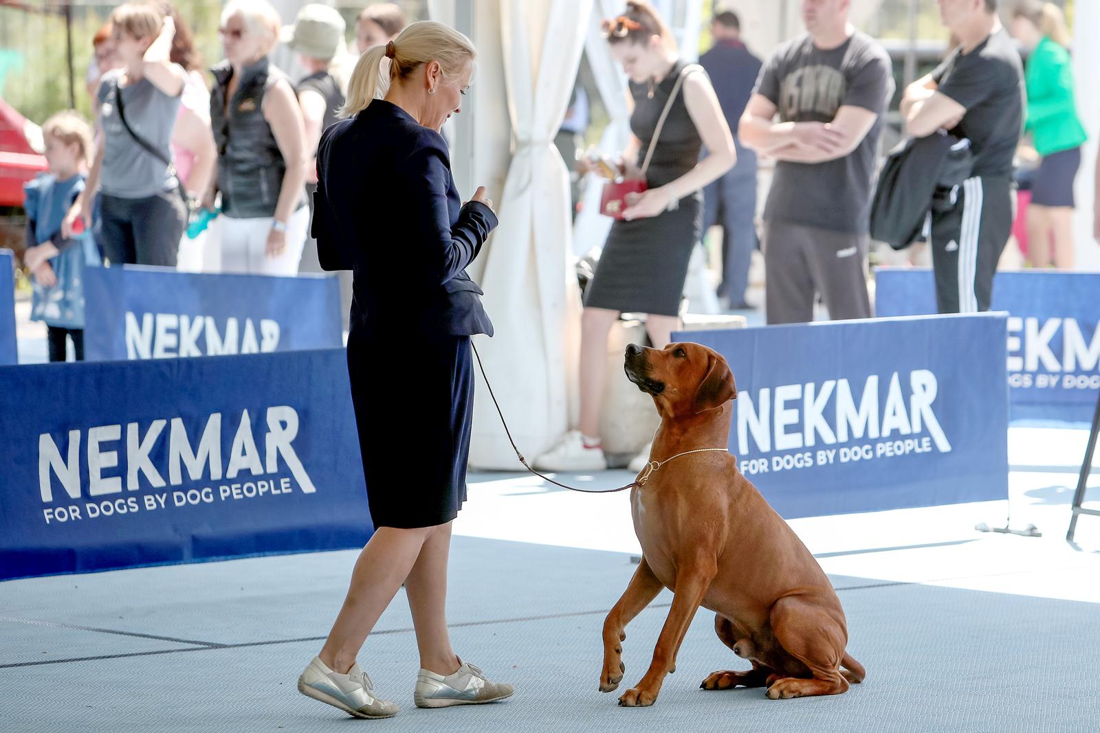 Međunarodna izložba pasa CACIB 2023