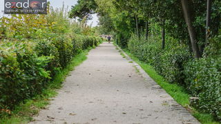 Đir po gradu, ponedjeljak 23. listopada 2017.