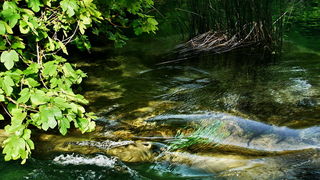Prvosvibanjski izlet na Skradinski Buk
