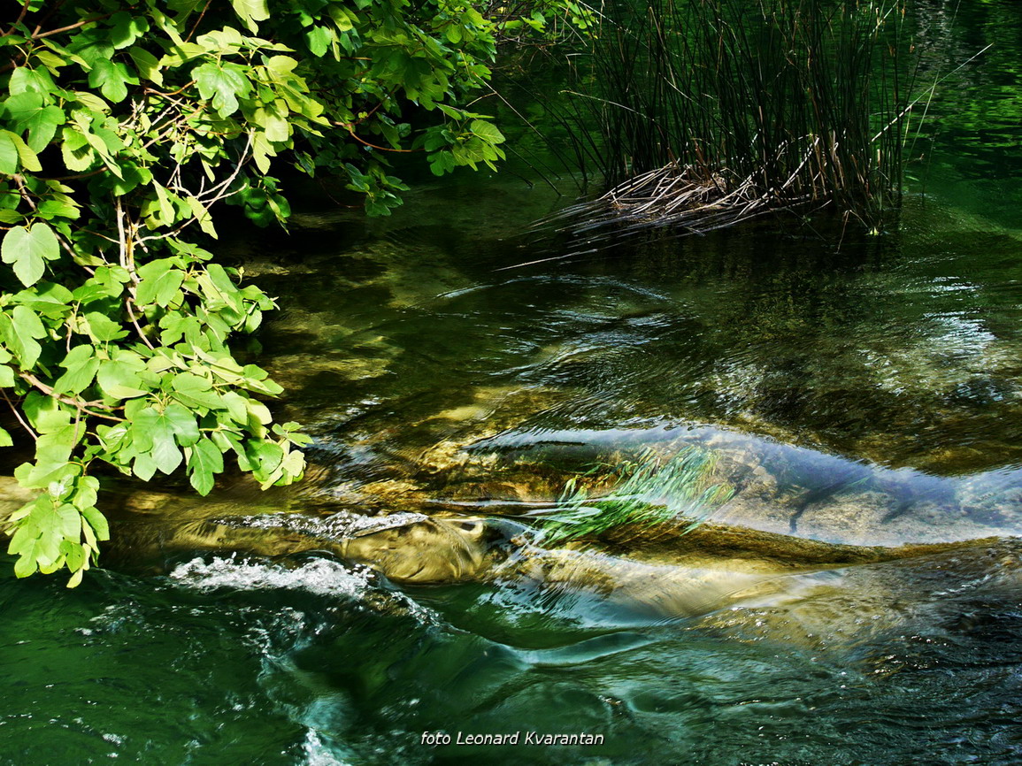 Prvosvibanjski izlet na Skradinski Buk