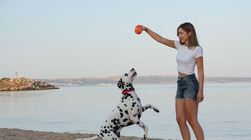 Plaže Stara Povljana i Bas dog friendly Plaže Stara Povljana i Bas dog friendly