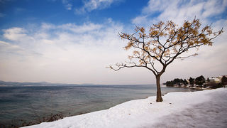 Đir po Punti Bajlo, 7. veljače 2012. (foto:Saša Čuka)