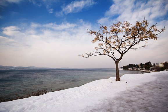 Đir po Punti Bajlo, 7. veljače 2012. (foto:Saša Čuka)
