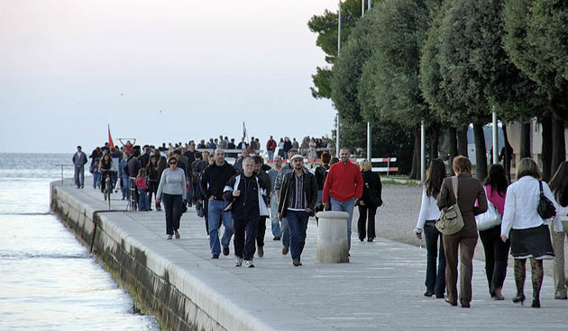 Image 1187393 (auto)