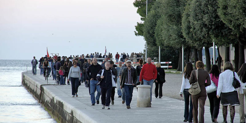 Image 1187393 (auto)