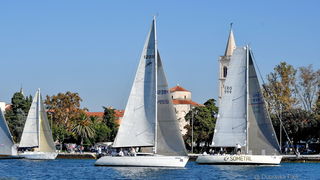 Sva lica “Zadarske koke” Sva lica “Zadarske koke”