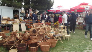 Benkovački sajam, 10. svibnja 2015.