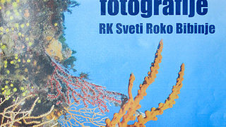 Otvorenje izložbe RK Roko, foto- L. Banić