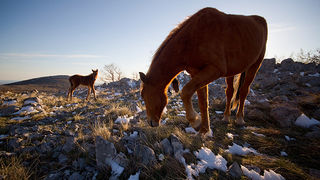 Đir do Libinja 9. travnja 2012. (foto:Saša Čuka) Đir do Libinja 9. travnja 2012. (foto:Saša Čuka)