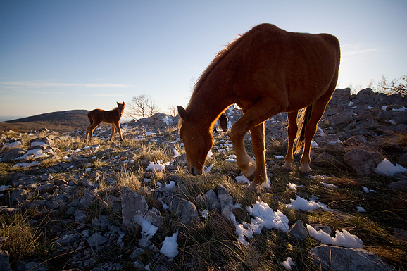 Đir do Libinja 9. travnja 2012. (foto:Saša Čuka) Đir do Libinja 9. travnja 2012. (foto:Saša Čuka)