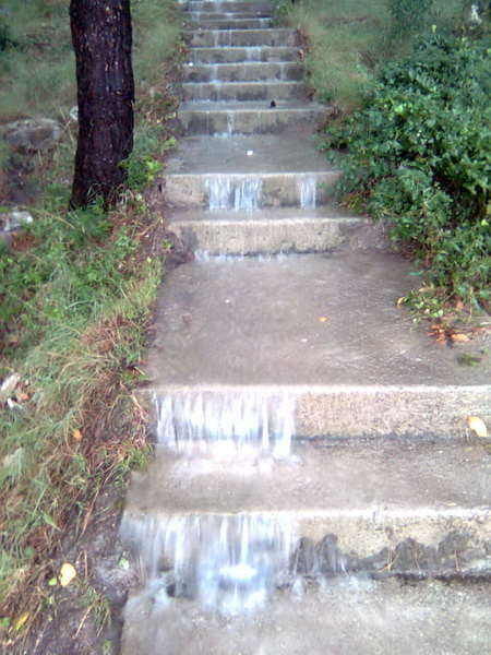 Pijavica s gradom poharala Dolaske Drage, Foto: Maria Dell’Orco Pijavica s gradom poharala Dolaske Drage, Foto: Maria Dell’Orco