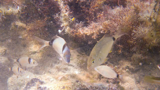 OLYMPUS DIGITAL CAMERA OLYMPUS DIGITAL CAMERA