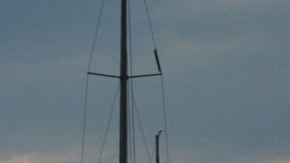 Image 1117685 (auto)