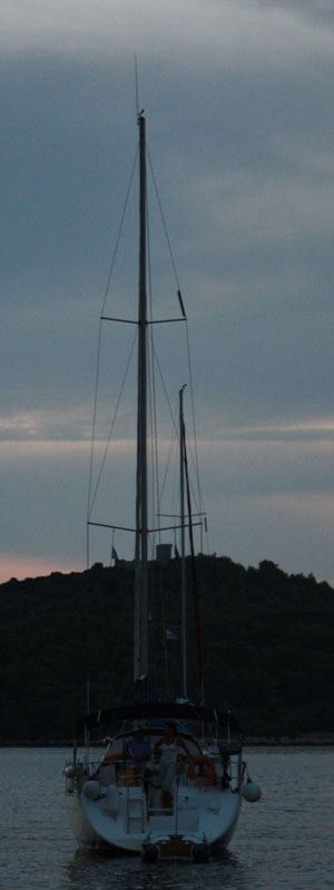 Image 1117685 (auto)