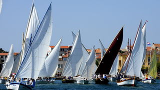 Betina, 150810.
U Betini na otoku Murteru danas je odrzana tradicionalna regata brodova na “latinskog idro ” pod nazivom “Regata za dusu i tilo”, na regati je sudjovalo preko gajeta, leuta i kaica pobjedili su domacini iz Betine.
Na slici start regate u b Betina, 150810.
U Betini na otoku Murteru danas je odrzana tradicionalna regata brodova na “latinskog idro ” pod nazivom “Regata za dusu i tilo”, na regati je sudjovalo preko gajeta, leuta i kaica pobjedili su domacini iz Betine.
Na slici start regate u b