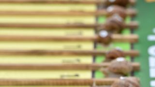 U sklopu Benkovackog kulturnog ljeta Grad Benkovac i Turisticka zajednica Grada Benkovca vec cetvrtu godinu za redom organiziraju manifestaciju Puzevim korakom. Radi se o gastro manifestaciji pripreme i degustacije puzeva. Posjetitelji su imali prilike d U sklopu Benkovackog kulturnog ljeta Grad Benkovac i Turisticka zajednica Grada Benkovca vec cetvrtu godinu za redom organiziraju manifestaciju Puzevim korakom. Radi se o gastro manifestaciji pripreme i degustacije puzeva. Posjetitelji su imali prilike d