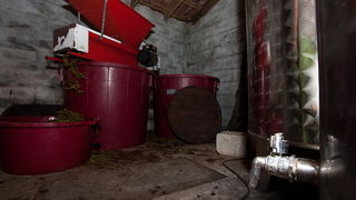 Priča o vinu: Od trsa do bačve, Foto: Leo Banić