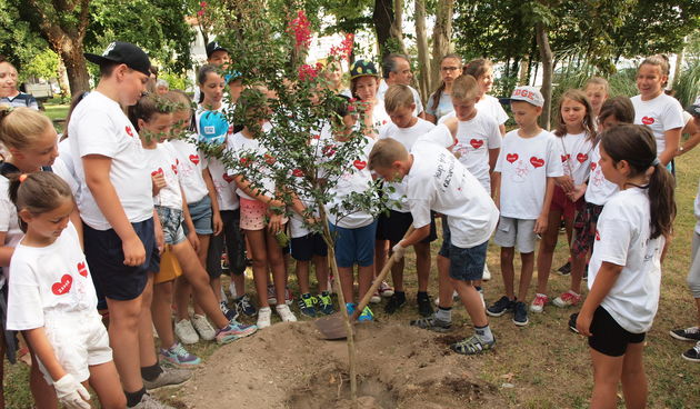 Djeca, sadnja stabala