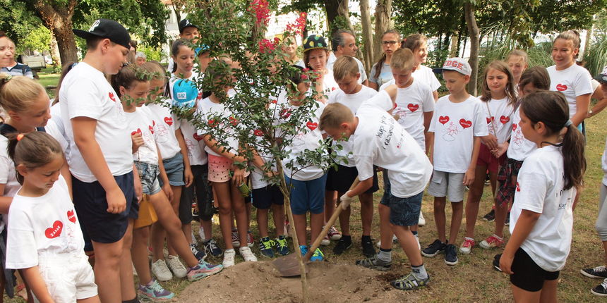 Djeca, sadnja stabala Djeca, sadnja stabala