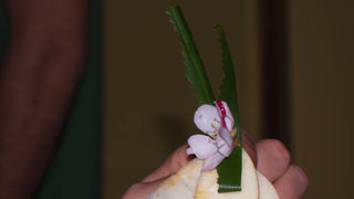 Natjecanje barmena – Jameson challenge, foto: Darko Belančić