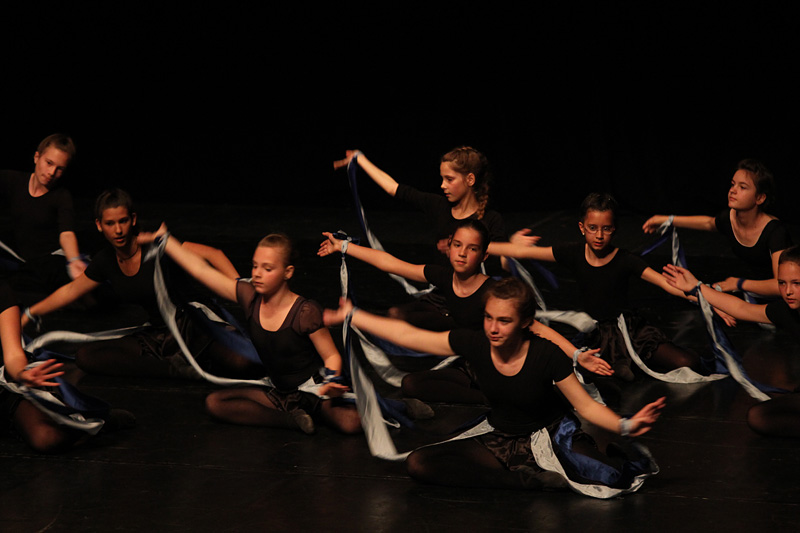 2. Zadarski plesni festival (In Memoriam Nives Šimatović-Predovan)