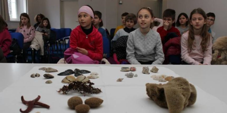 Mali Morski utorak Mali Morski utorak