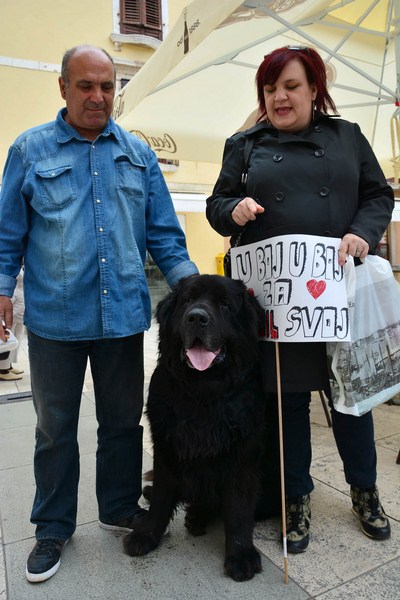 Skup podrške za NO KILL skloništa za životinje,  foto Iva Perinčić