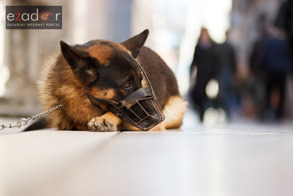 Đir po gradu, petak 17. studenog 2017.