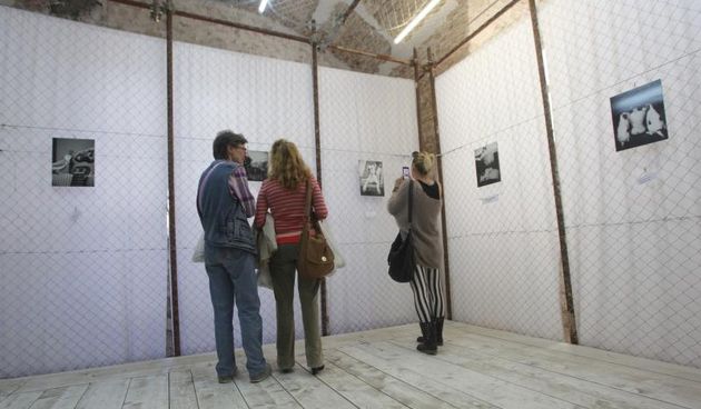 26.04.2014., Zadar – U Knezevoj palaci otvorena je humanitarna izlozba kucnih ljubimaca fotografkinje Ive Perincic za pomoc zadarskom azilu za zivotinje. Photo: Filip Brala/PIXSELL